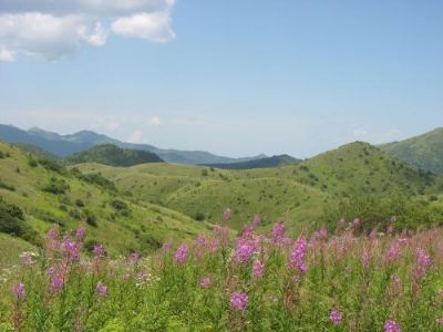 正阳大草原