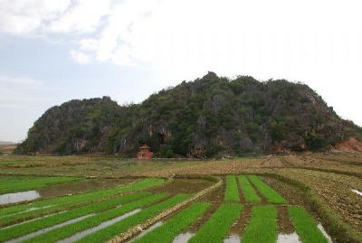 狮子山岩画