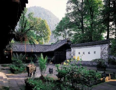 洪椿晓雨