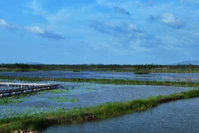 潘安湖湿地公园