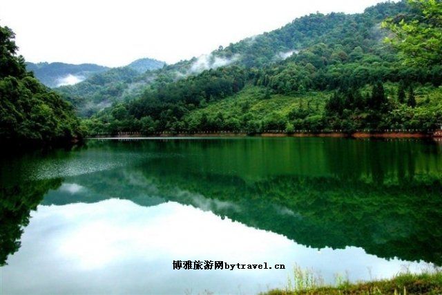 阳岭