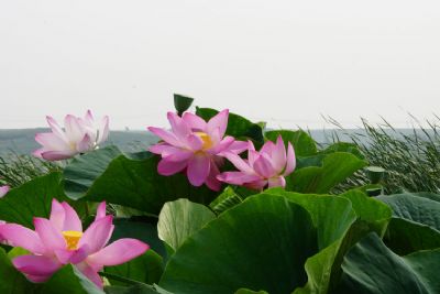 灵山湖风景区