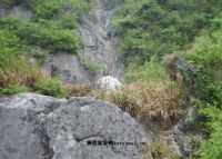 纪龙山