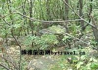 黄庙沟森林公园