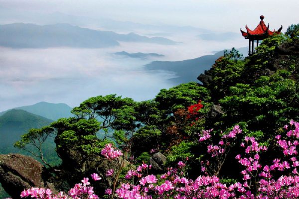 阳岭