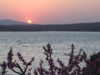 济河街道龙湾套村