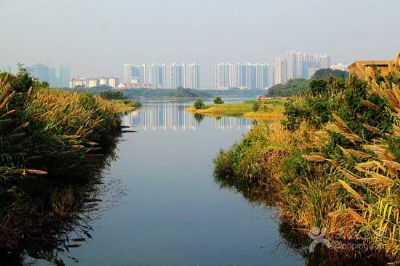 深圳华侨城国家湿地公园